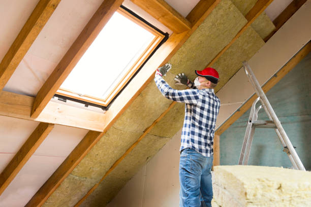 Best Attic Insulation Installation  in Fruitridge Pocket, CA